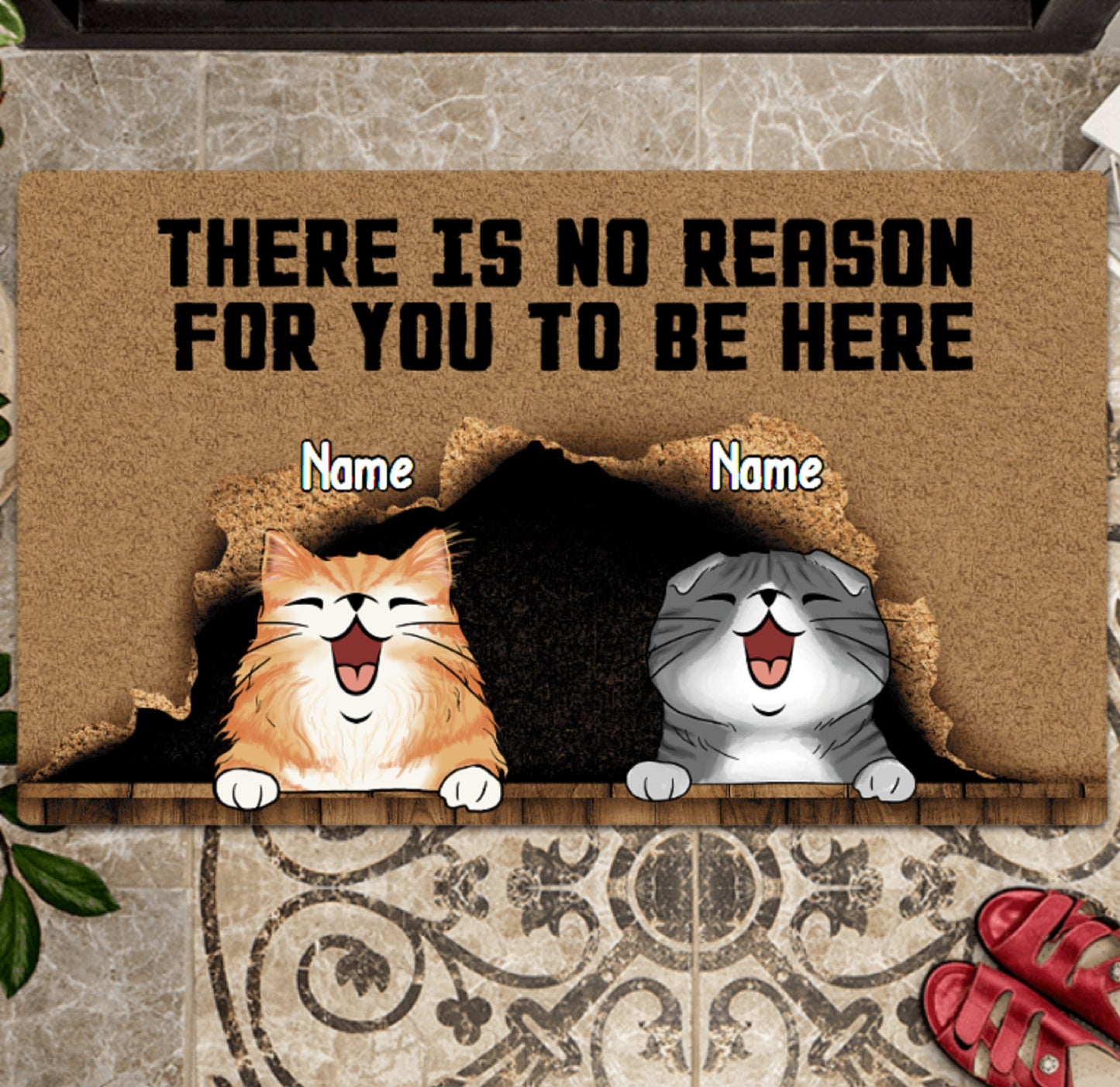 There Is No Reason For You To Be Here Personalized Cat Doormat, Funny Welcome Home Mat, Cat Entrance Mat, Outdoor Door Mat, Front Door Mat