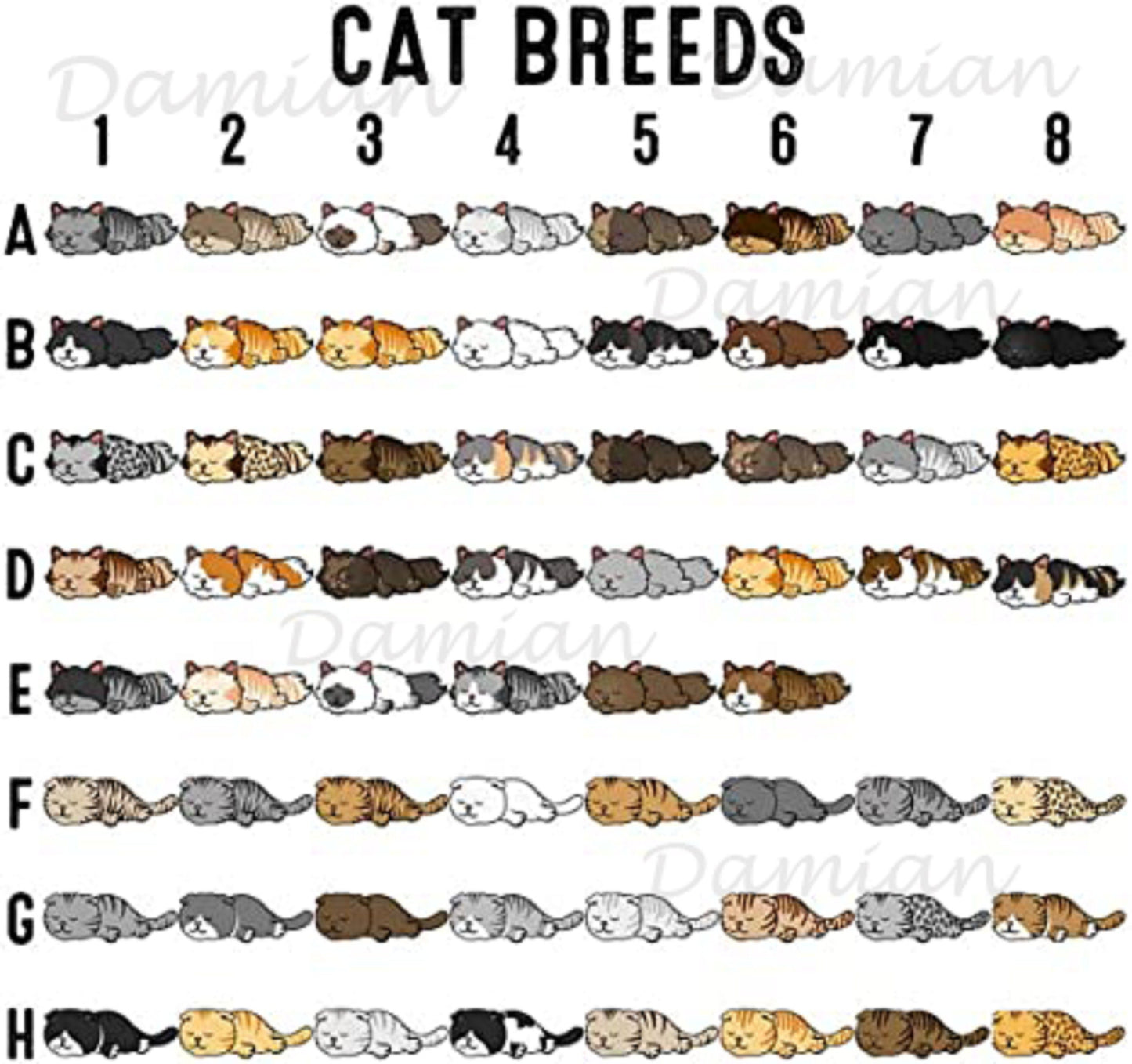 I Work Hard So My Cats Can Have A Better Life Personalized Tote Bag, Custom Canvas Tote Bag, Cat Lady Bag, Cat Graphic Bag, Reusable Bag