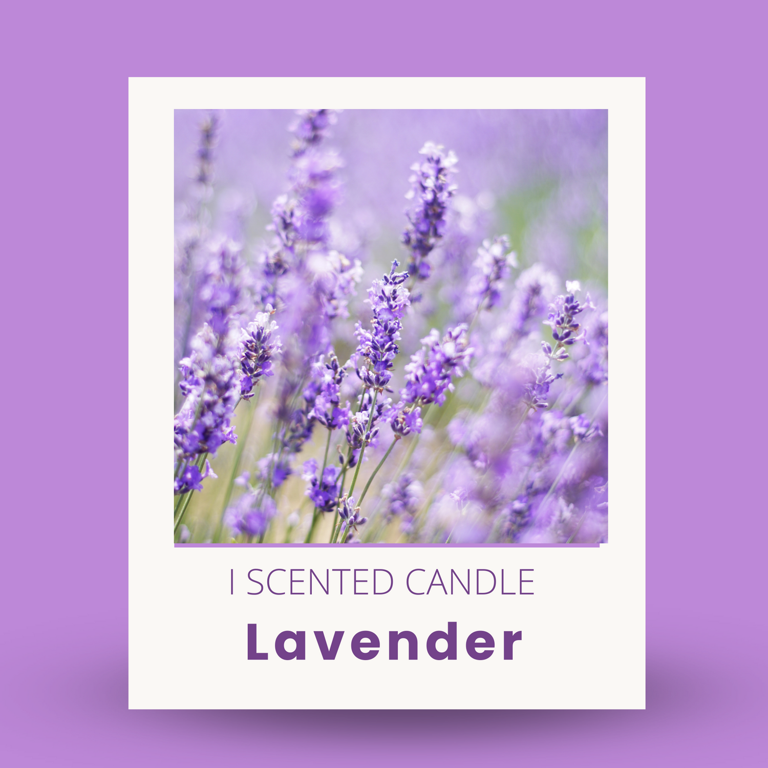 Relaxing Lavender Candle Collection