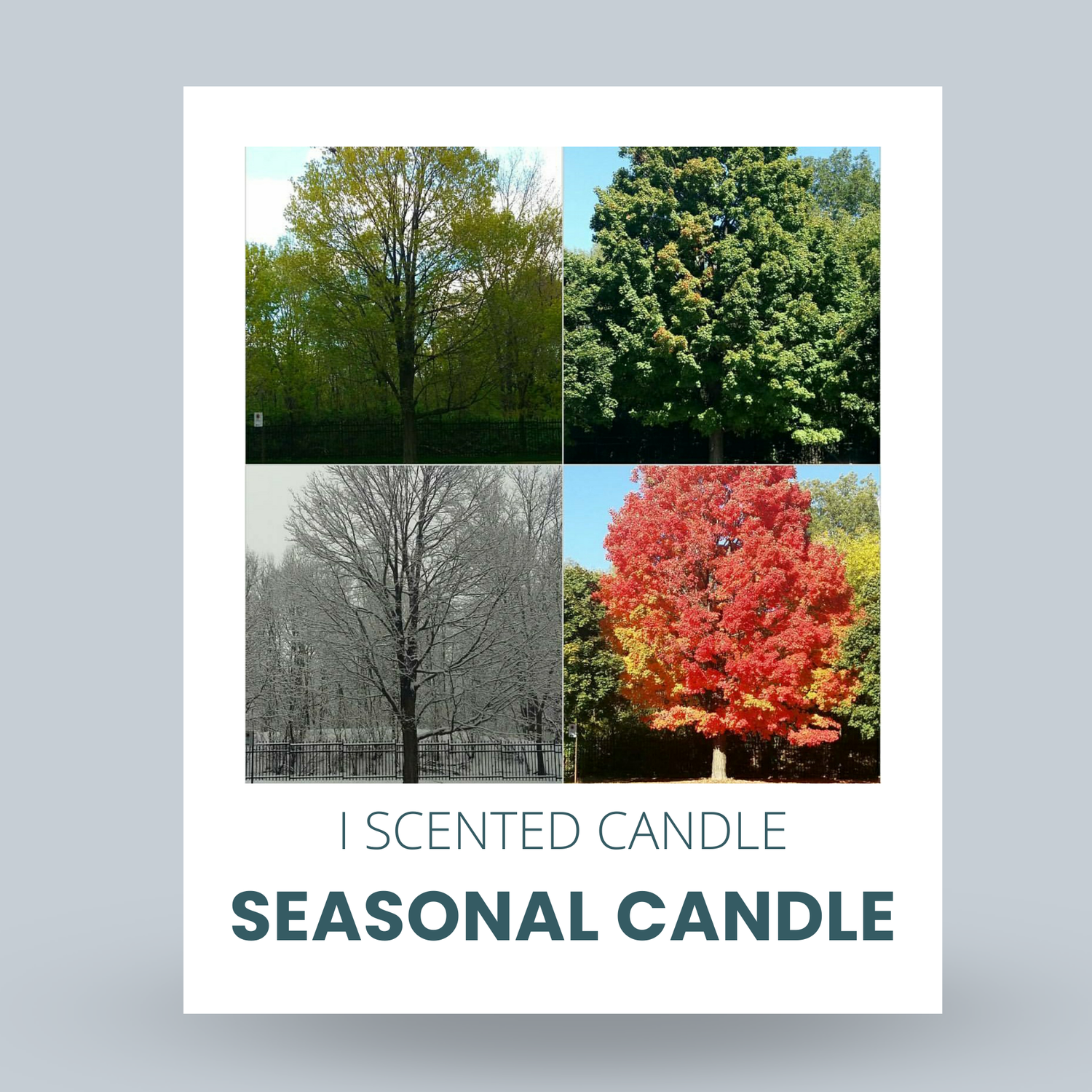 Seasonal Candle Collection