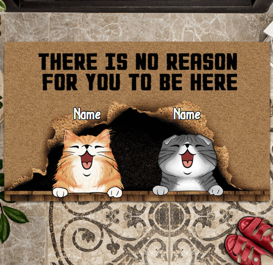 There Is No Reason For You To Be Here Personalized Cat Doormat, Funny Welcome Home Mat, Cat Entrance Mat, Outdoor Door Mat, Front Door Mat