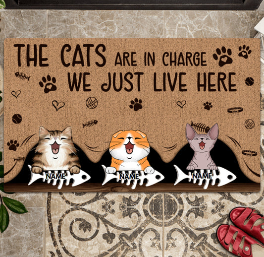 The Cat Is In Charge We Just Live Here Personalized Cat Doormat, Funny Welcome Home Mat, Cat Entrance Mat, Outdoor Door Mat, Front Door Mat