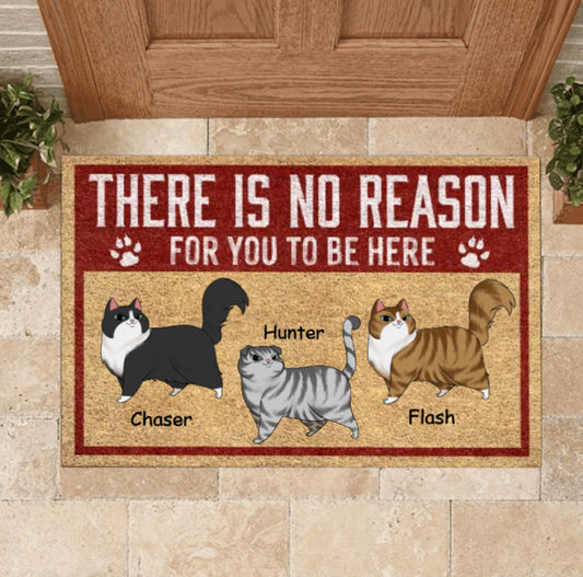 There Is No Reason For You To Be Here Personalized Cat Doormat, Funny Welcome Home Mat, Cat Entrance Mat, Welcome Mat, Housewarming Gift