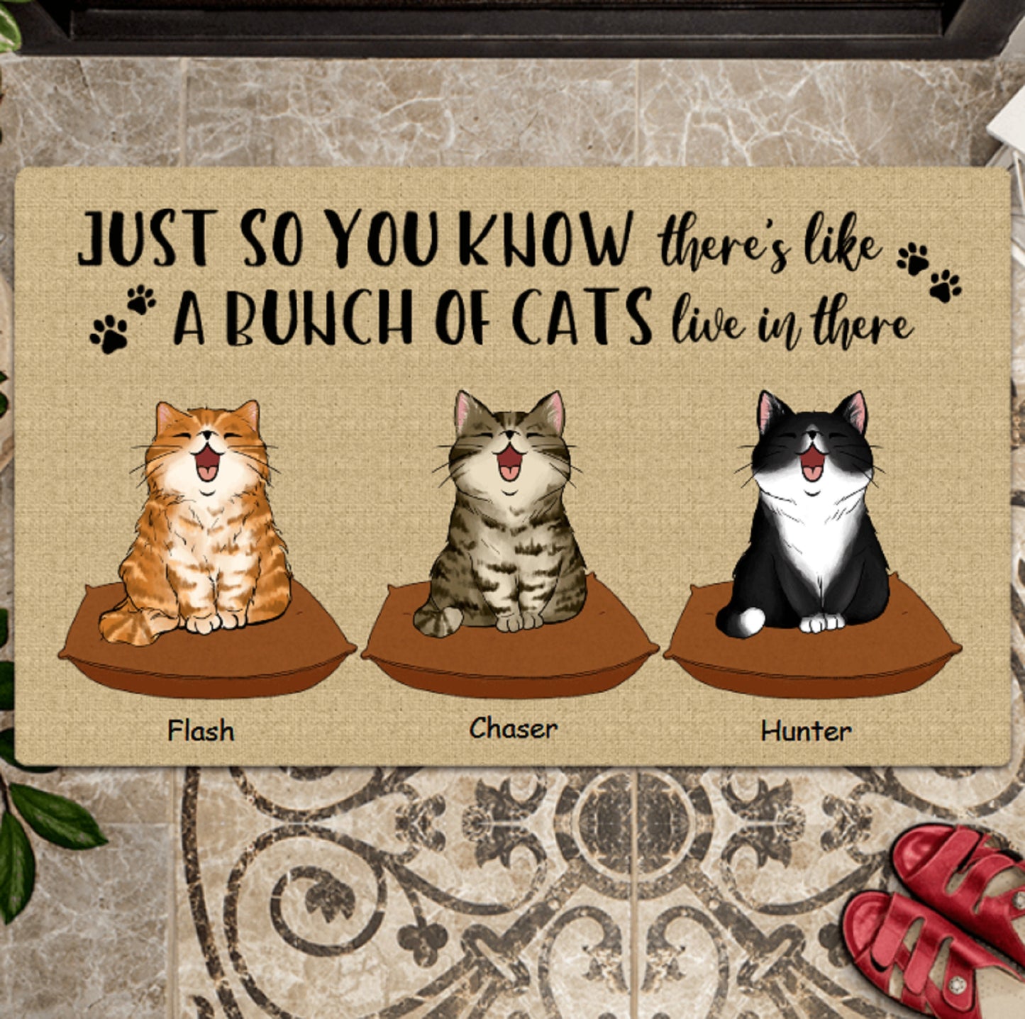 A Bunch Of Cats Live In Here Personalized Doormat, Funny Welcome Mat, Entrance Mat, Front Door Mat, Cat Mom Birthday Gift, Cute Cat Doormat