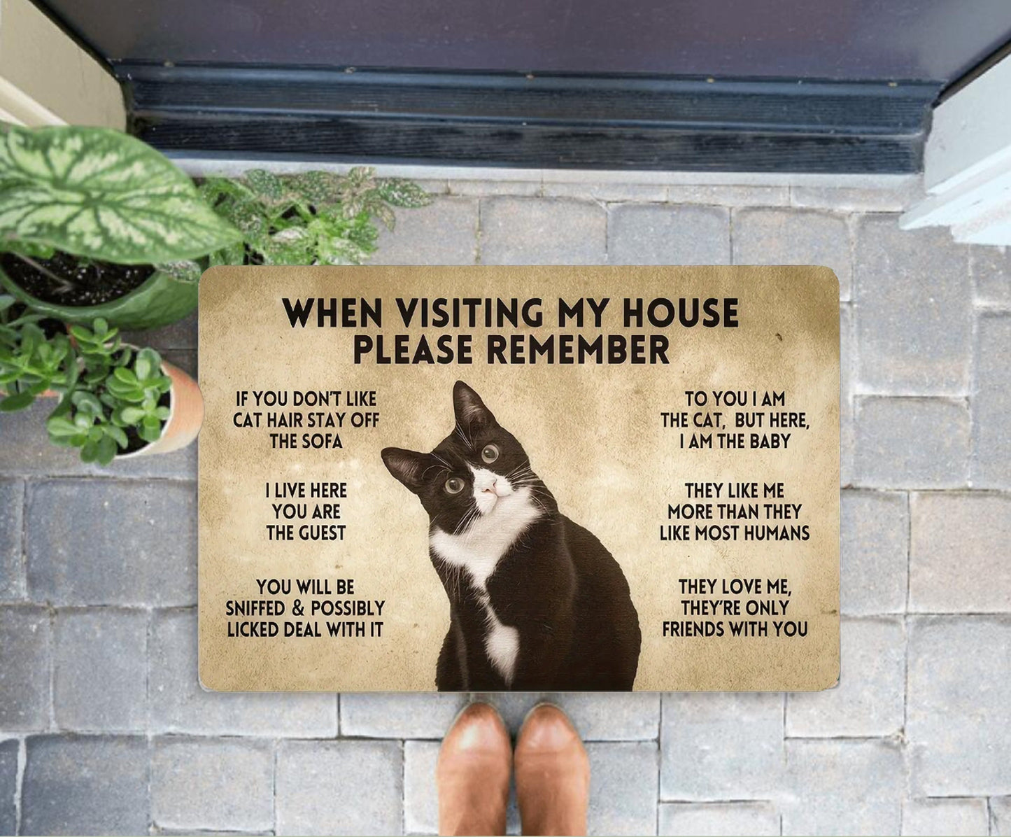 When Visiting My House Please Remember Doormat, Tuxedo Cat Doormat, Funny Welcome Home Mat, Cat Entrance Mat, Front Door Mat Cat Owner Gifts